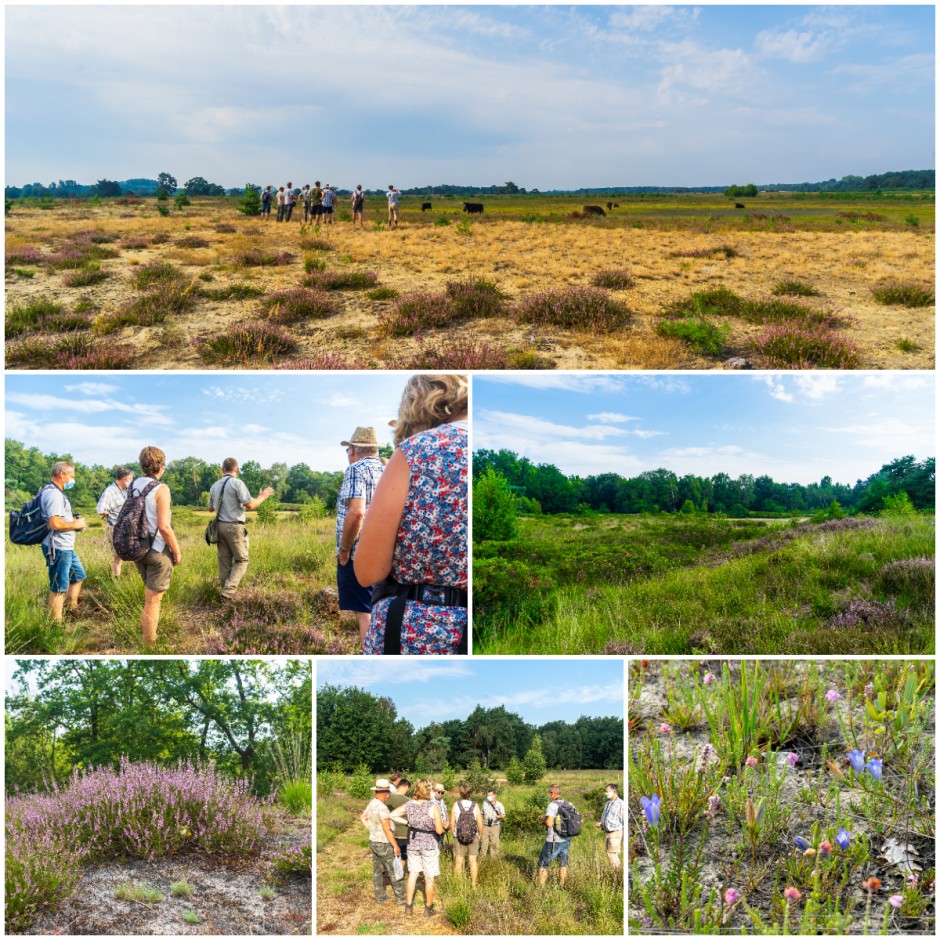 Heilzame Heidewandeling - Marjel Van Den Boer